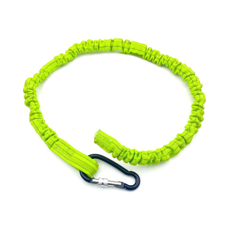 قلاده لیش شبرنگی سگ