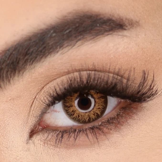 لنز رنگی چشم نیو ویژن پرو رنگ عسلی کهربایی روشن (NEW VISION-PRO) مدل Hazel3 — تصویر ۲