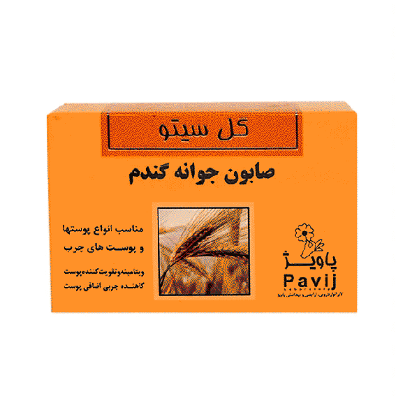 صابون شستشو گل سیتو 125 گرمی