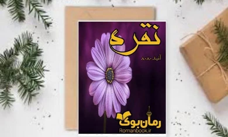 و دانلود نسخه کامل رمان نقره | رمان عاشقانه | رمان بزرگسال | رمان اجتماعی