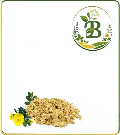 عصاره خارخاسک خشک (پودری)