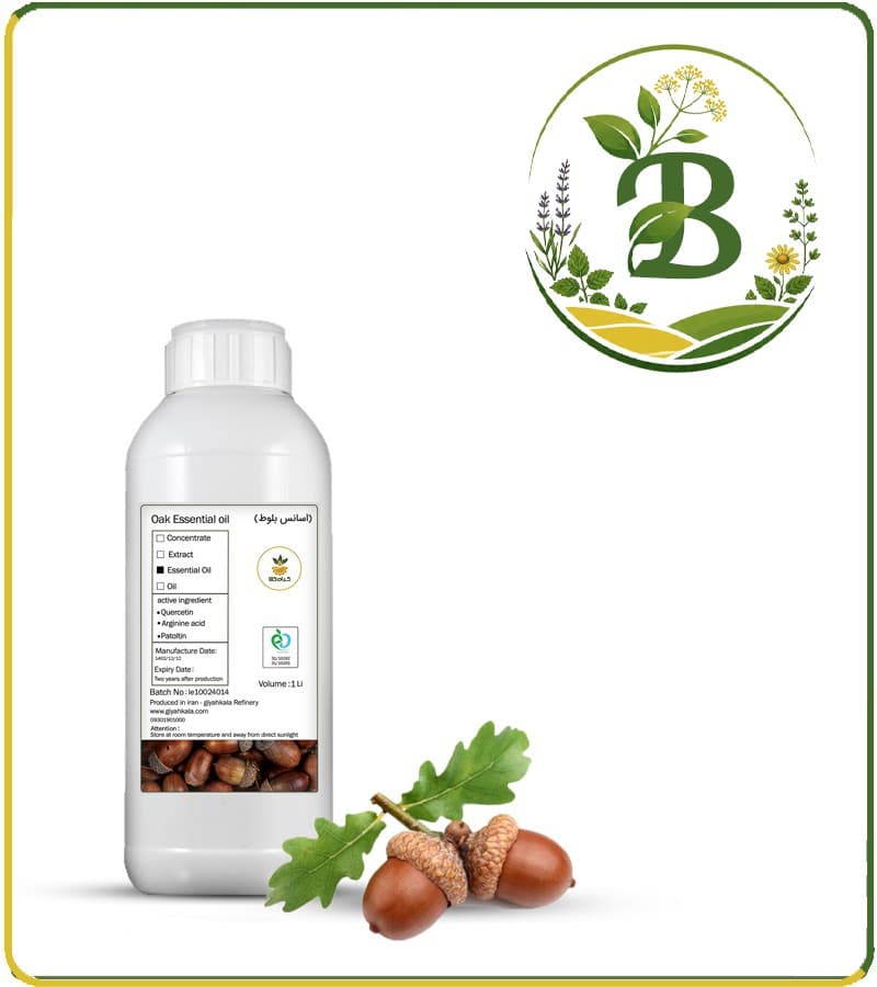 اسانس بلوط طبیعی