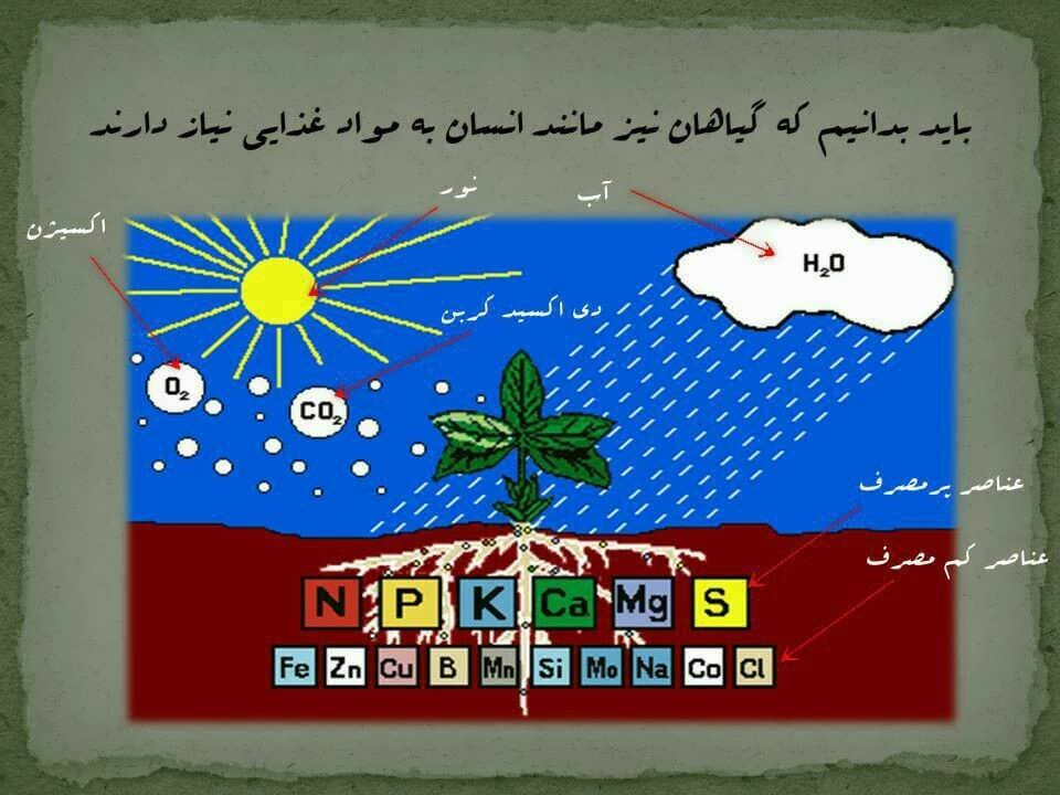 پاورپوینت اهمیت رعایت تناسب كودی در تغذیه گیاهی — تصویر ۴