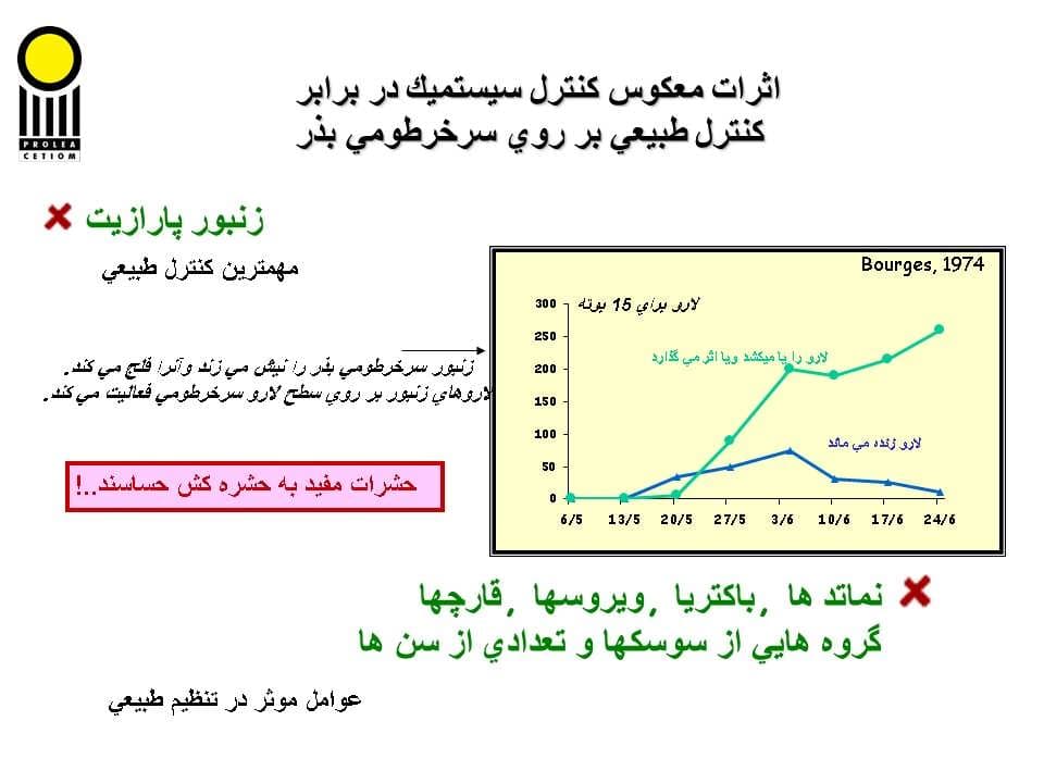 پاورپوینت كارگاه آموزشی مدیریت مزرعه كلزا — تصویر ۳