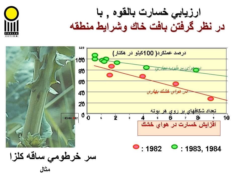 پاورپوینت كارگاه آموزشی مدیریت مزرعه كلزا — تصویر ۴