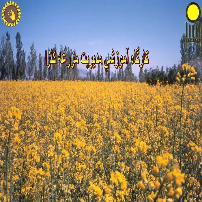 پاورپوینت كارگاه آموزشی مدیریت مزرعه كلزا