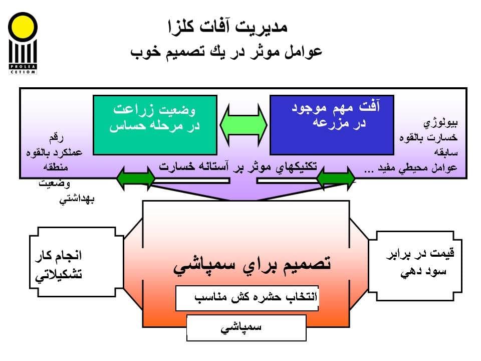 پاورپوینت كارگاه آموزشی مدیریت مزرعه كلزا — تصویر ۶