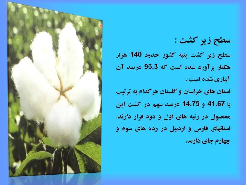 پاورپوینت پنبه — تصویر ۸