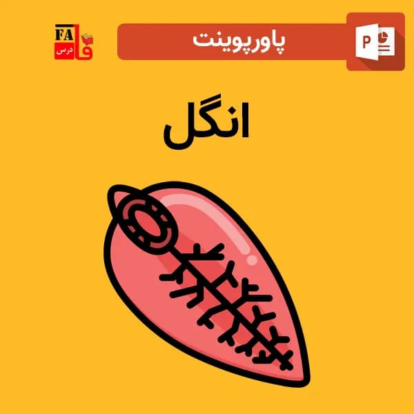 پاورپوینت درباره انگل