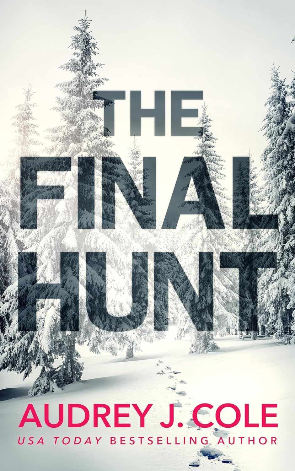 کتاب شکار نهایی (The Final Hunt) نسخه انگلیسی PDF | آدری جی. کول