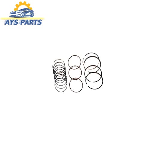 رینگ سایز 0.25 ام وی ام 110 سه سیلندر(شرکتی)
