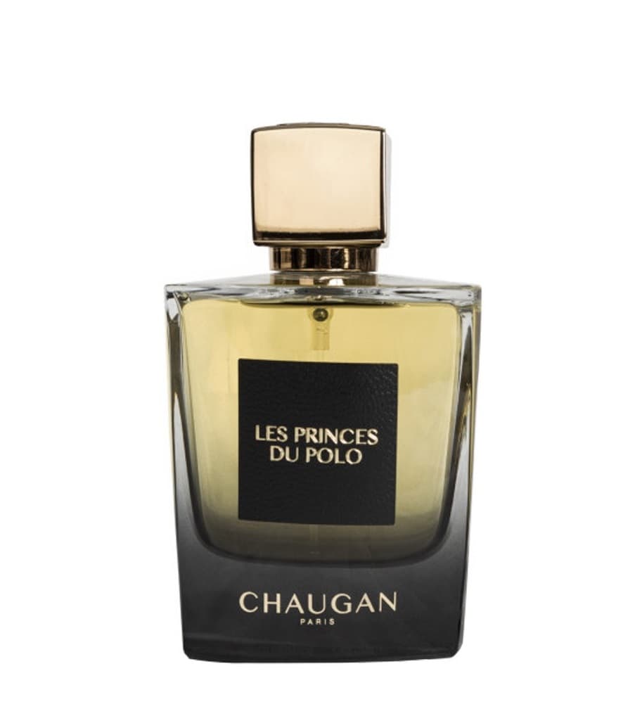 ادکلن مردانه چوگان مدل les princes du polo حجم 100 میل