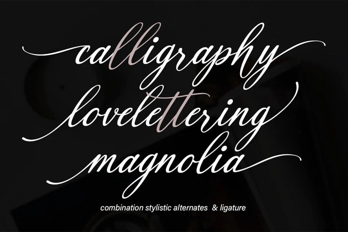 فونت کالیگرافی مدرن Black Paris — تصویر ۴