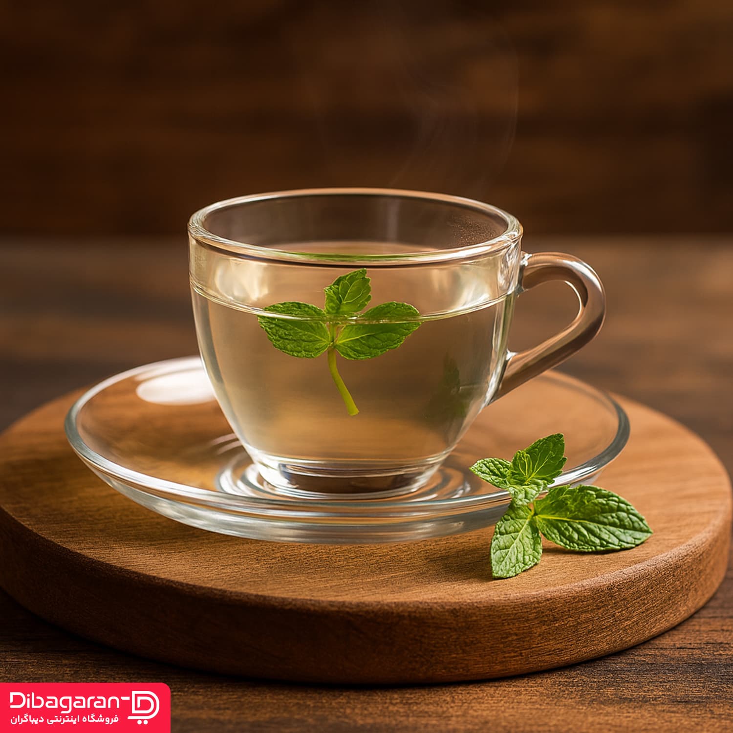فنجان و نعلبکی پاشاباغچه مدل بیسیک 6 عددی کد 97948 — تصویر ۳