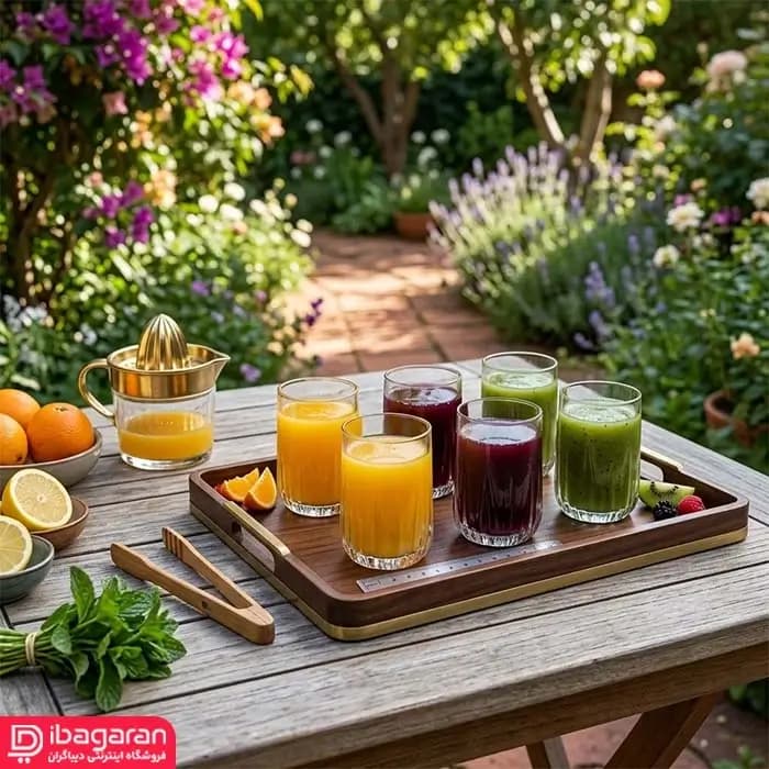 شات 6 عددی پاشاباغچه مدل نوا 420522