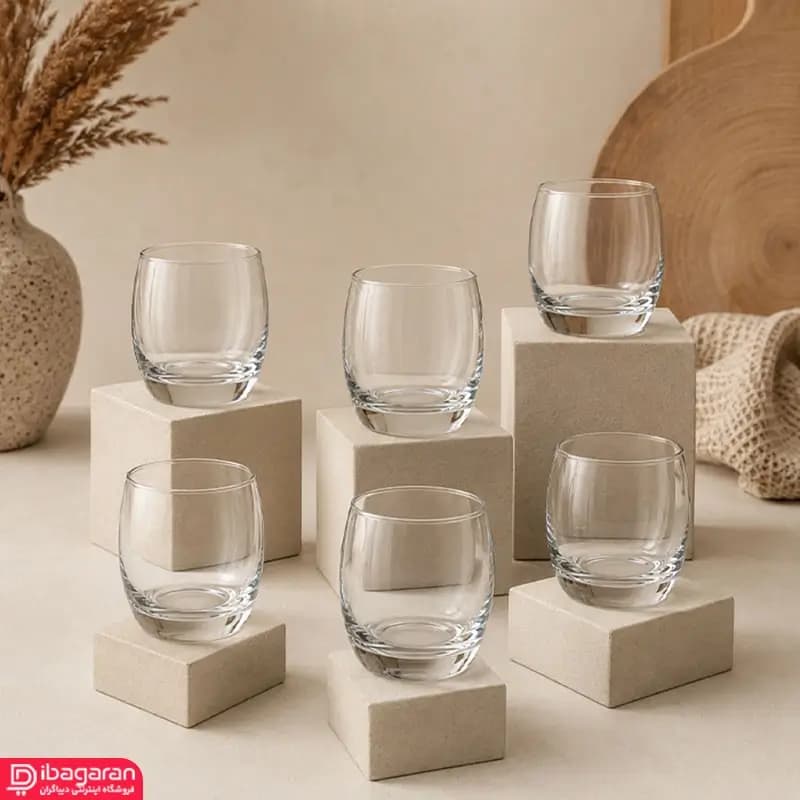 نیم لیوان 6عددی پاشاباغچه مدل بارل 41010