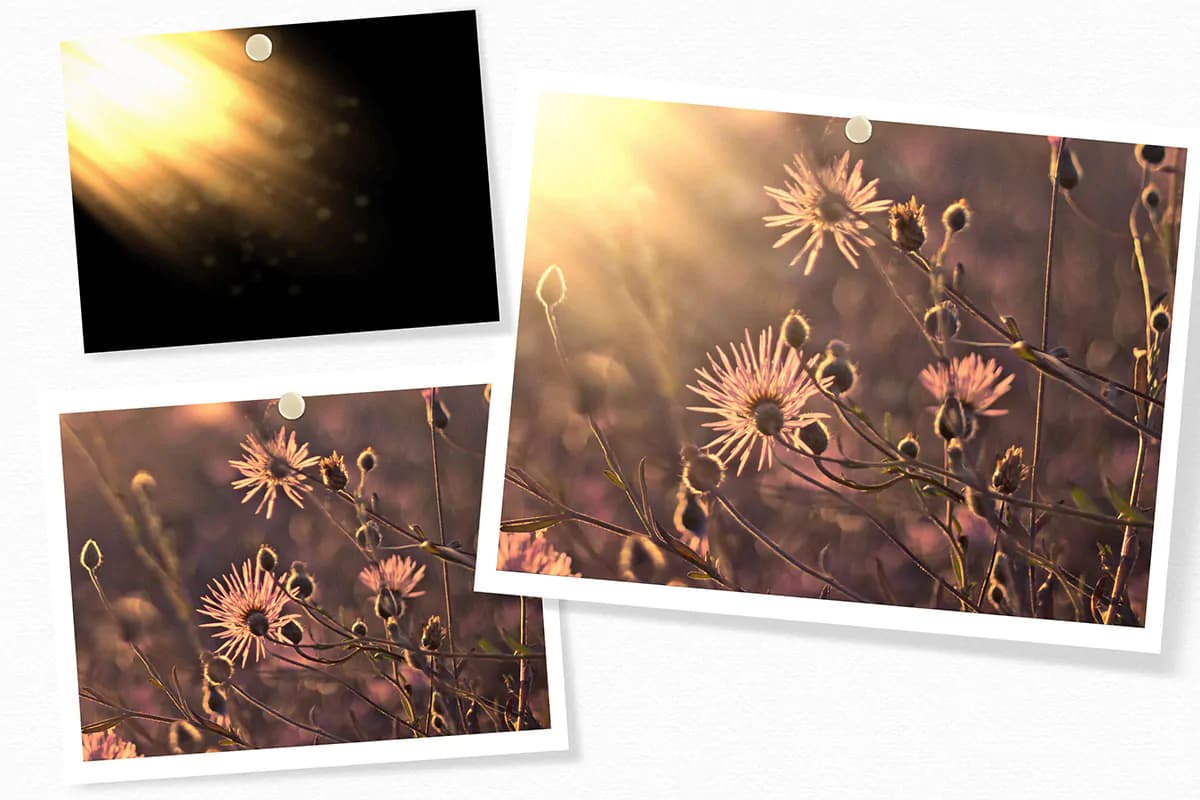 جلوه عکس نور خورشید برای فتوشاپ — تصویر ۴