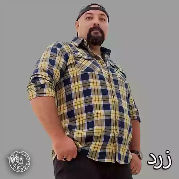 پیراهن سایز بزرگ زِیوس لی کاغذی5966 — تصویر ۳