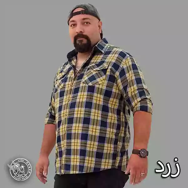 پیراهن سایز بزرگ زِیوس لی کاغذی5966 — تصویر ۵
