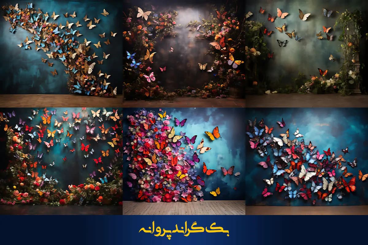 36 بک گراند پروانه برای آتلیه عکاسی — تصویر ۴