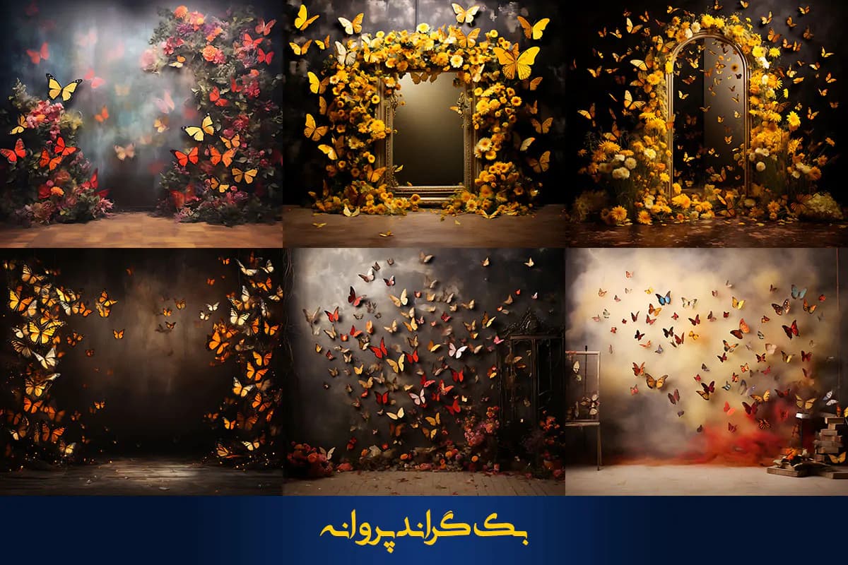 36 بک گراند پروانه برای آتلیه عکاسی — تصویر ۵