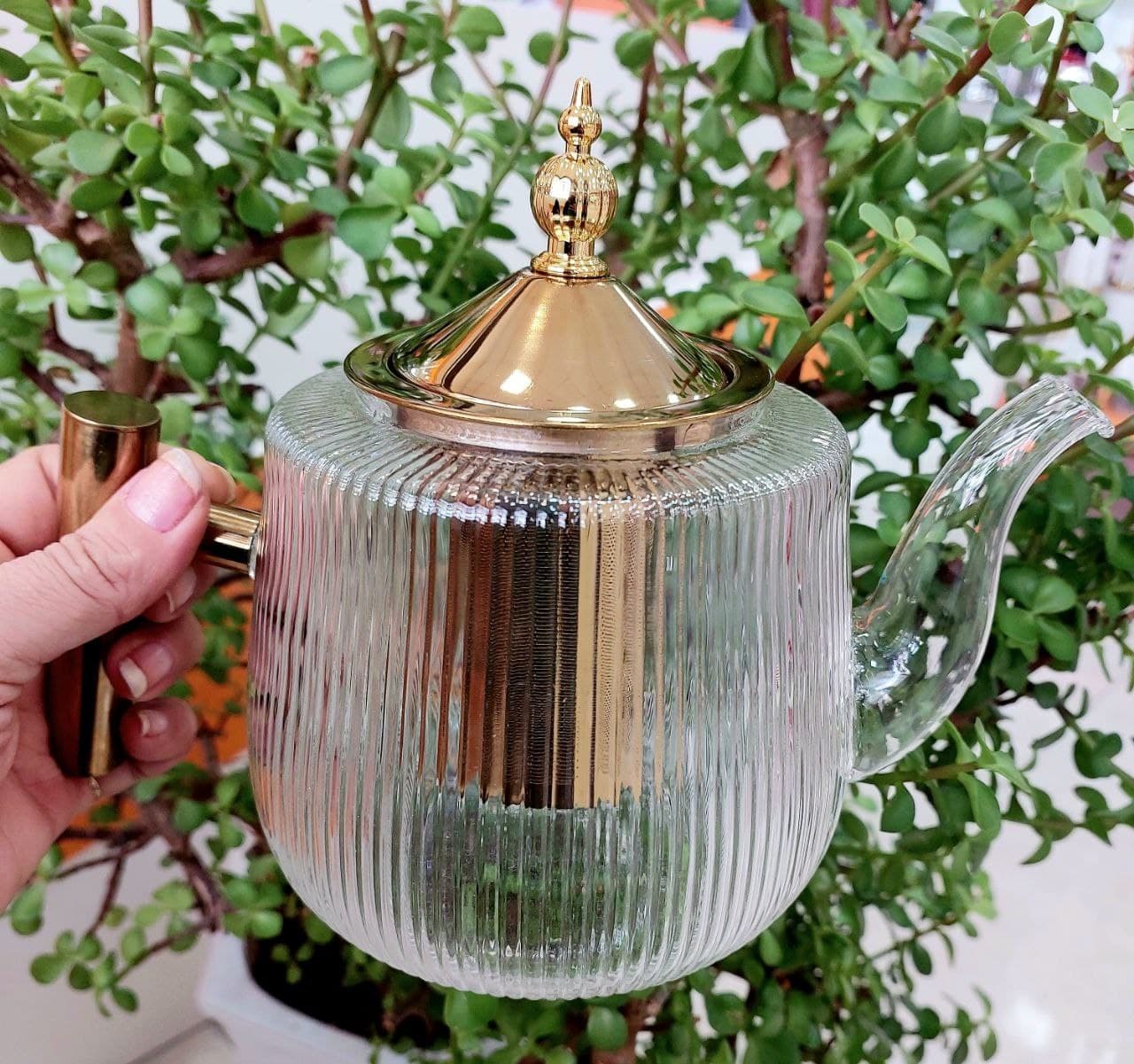 قوری پیرکس درب و صافی و دسته استیل طلایی — تصویر ۲