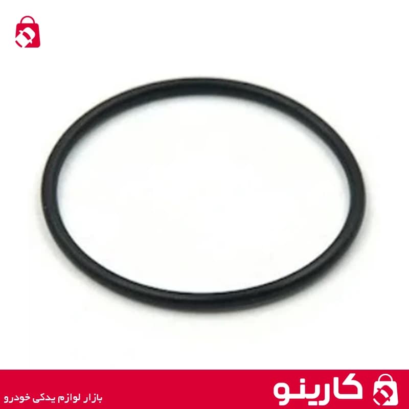 اورینگ واتر پمپ EF7