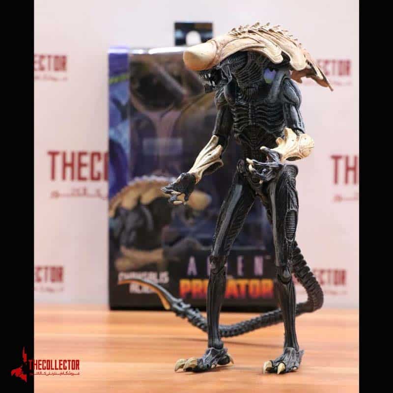 اکشن فیگور بیگانه کریسالیس | Chrysalis Alien | از فیلم بیگانه علیه غارتگر برند نکا — تصویر ۶