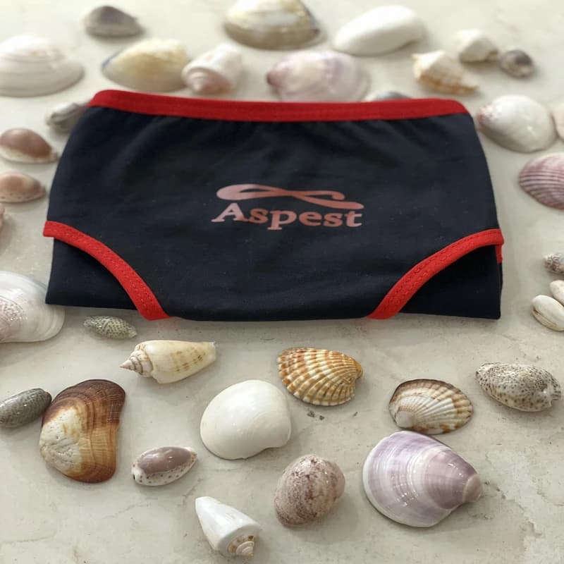 شورت زنانه اسپست مدل ASP-BYR000 بسته سه عددی — تصویر ۴