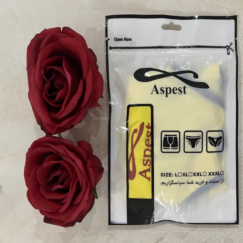 شورت زنانه اسپست مدل ASP-BYR000 بسته سه عددی — تصویر ۲