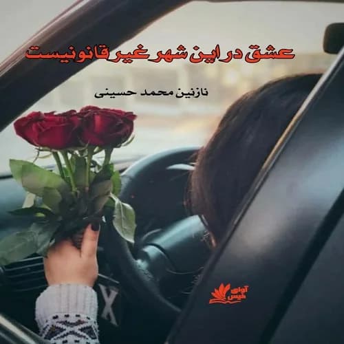دانلود pdf رمان عشق در این شهر غیرقانونیست اثر نازنین محمد حسینی — تصویر ۲
