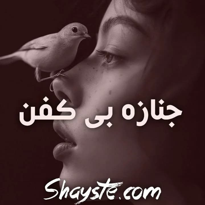 دانلود pdf رمان جنازه ی بی کفن — تصویر ۲