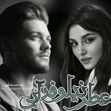 دانلود رمان عطر نیلوفر آبی اثر زیبا ستاری