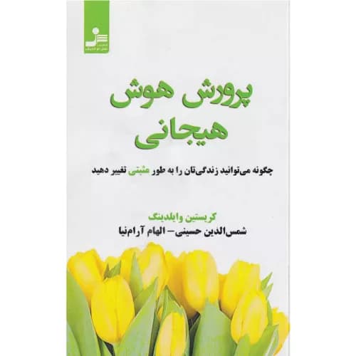 کتاب پرورش هوش هیجانی اثر کریستین وایلدینگ | نسل نواندیش