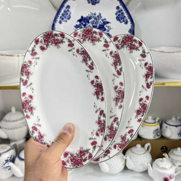دیس 24 الویه خوری آران