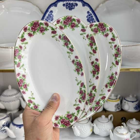 دیس 24 الویه خوری بیدگل