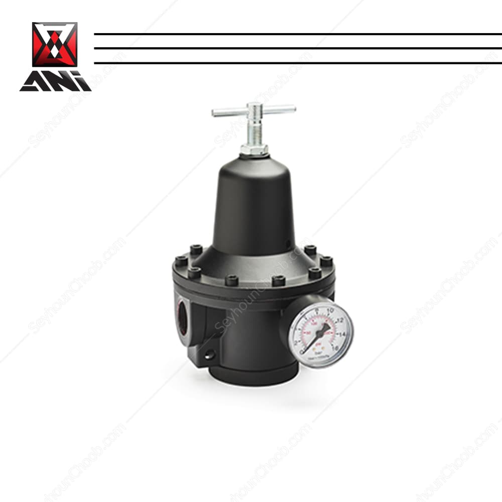 فشارشکن ایتالیایی با درجه 3/4 اینچ برند آنی مدل ANI M3501