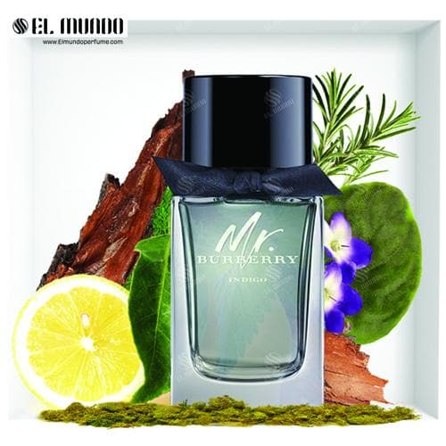 عطر ادکلن مردانه باربری مستر باربری ادوتویلت ۱۰۰ میل Mr. Burberry — تصویر ۳