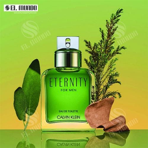 عطر ادکلن مردانه کالوین کلین اترنیتی ادوپرفیوم ۱۰۰ میل Eternity Calvin Klein for men — تصویر ۳