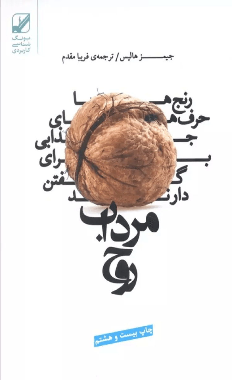 کتاب مرداب روح (رنج ها حرف هاي جذابي براي گفتن دارند) اثر جیمز هالیس 1404