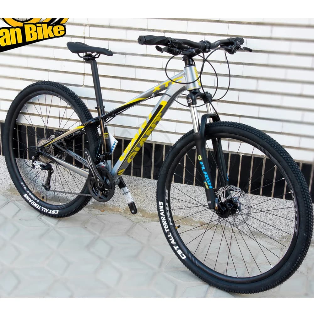 دوچرخه جاینت سایز 29 Giant XTC کوهستان کاستوم سفارشی