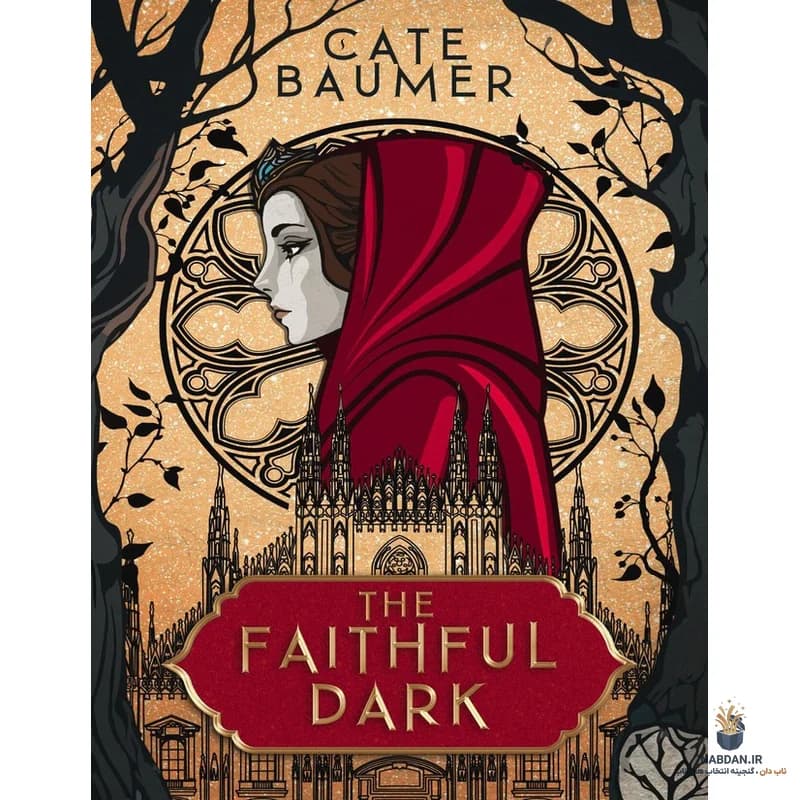 کتاب The Faithful Dark (تاریکی وفادار) نسخه انگلیسی PDF | کیت بومر