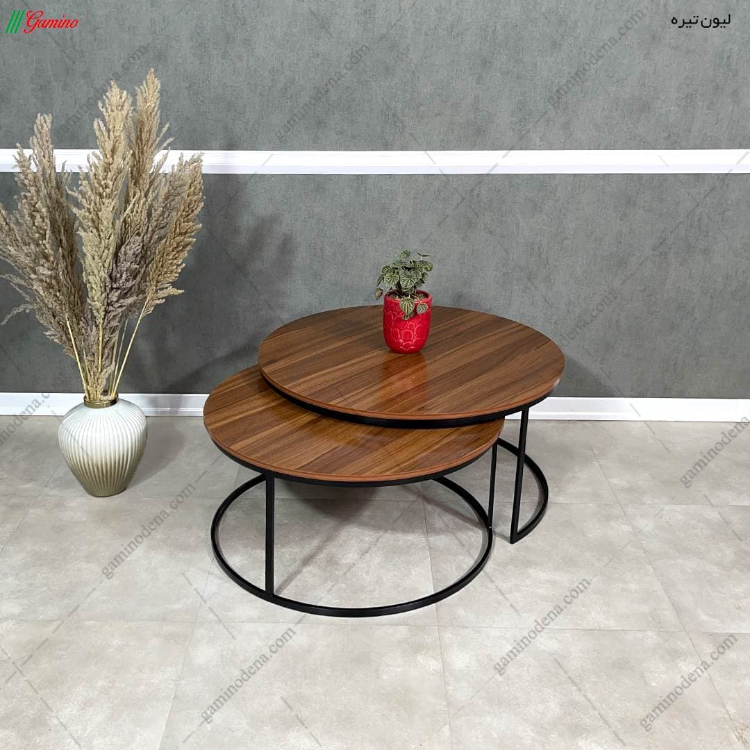 جلو مبلی و عسلی فلزی ساده مدل سایه — تصویر ۸