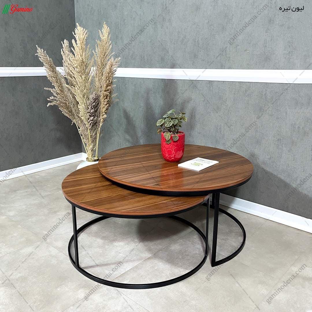 جلو مبلی و عسلی فلزی ساده مدل سایه