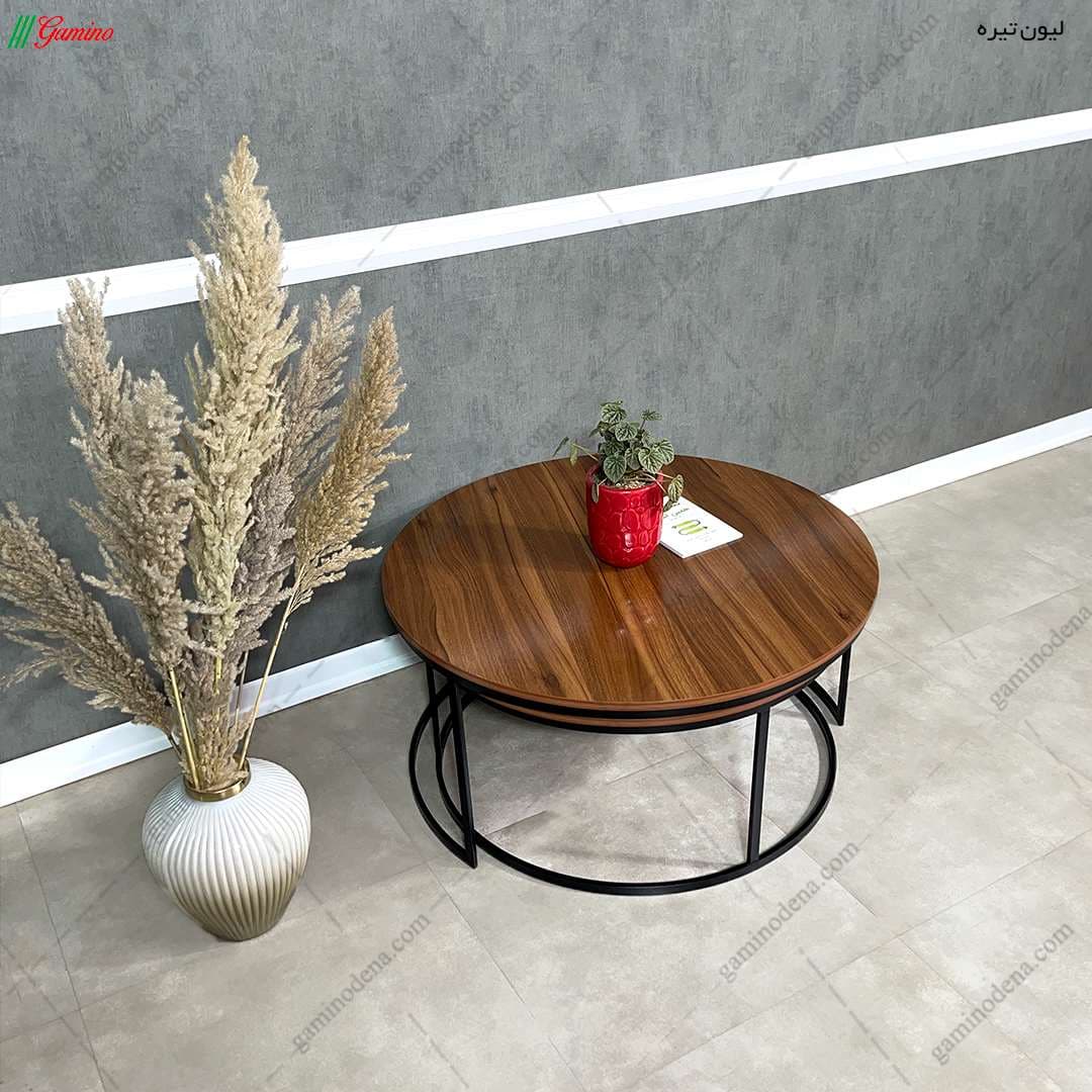 جلو مبلی و عسلی فلزی ساده مدل سایه — تصویر ۶