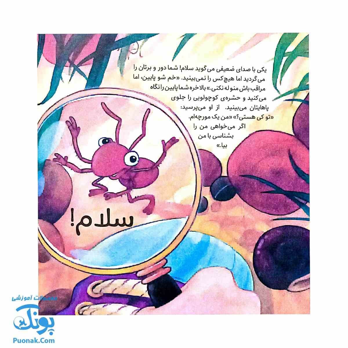کتاب به دنبال مورچه ها دنیای شگفت انگیز مورچه ها و آفرینش آنها — تصویر ۳