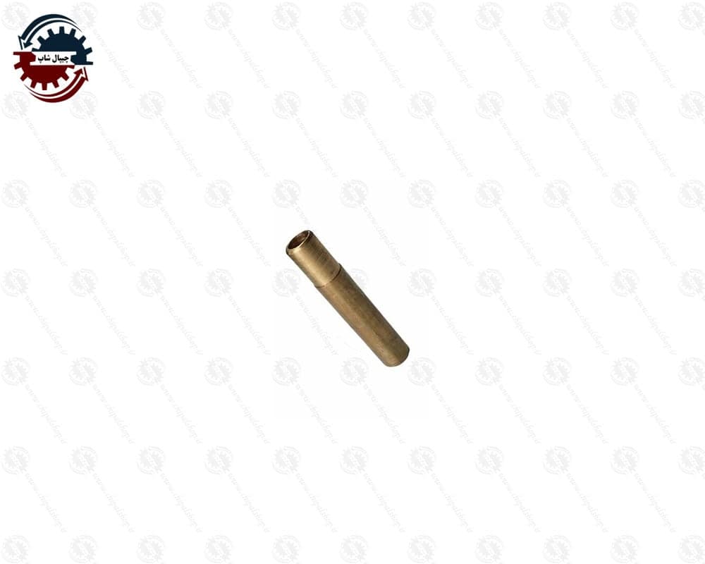 بوش(پایه) پیچ هواگیری آلنی (پژو 405، سمند، پرشیا )