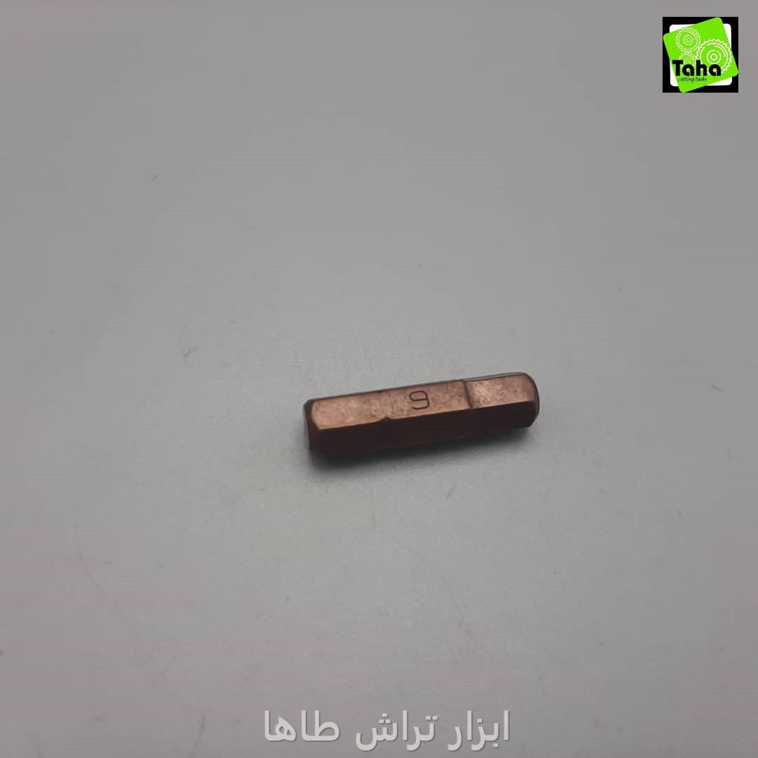 نوک پیچ گوشتی آلنی6-2.5 سانت