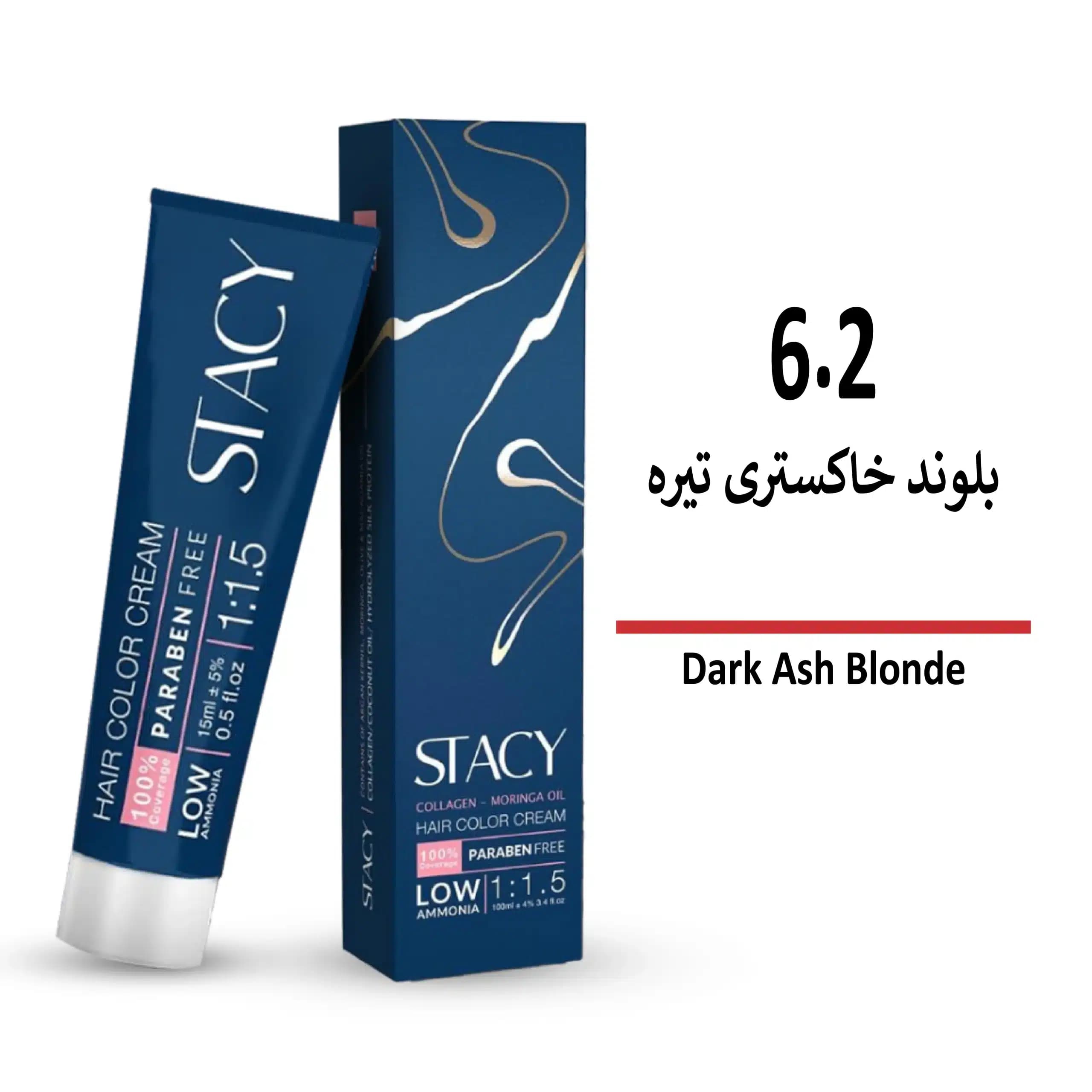 رنگ مو استیسی بلوند خاکستری روشن 6/2