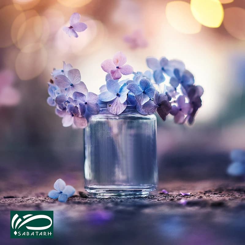 تابلو شاسی صبا طرح مدل گلدان پشت پنجره کد M220 — تصویر ۳